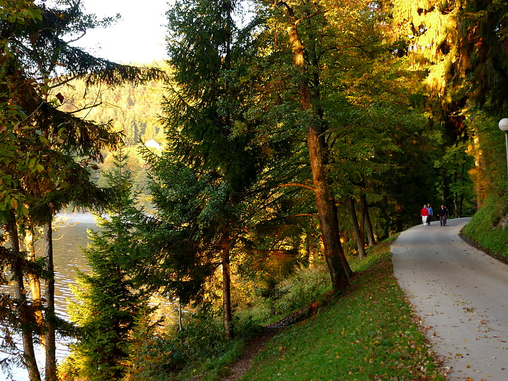 Bled Lake